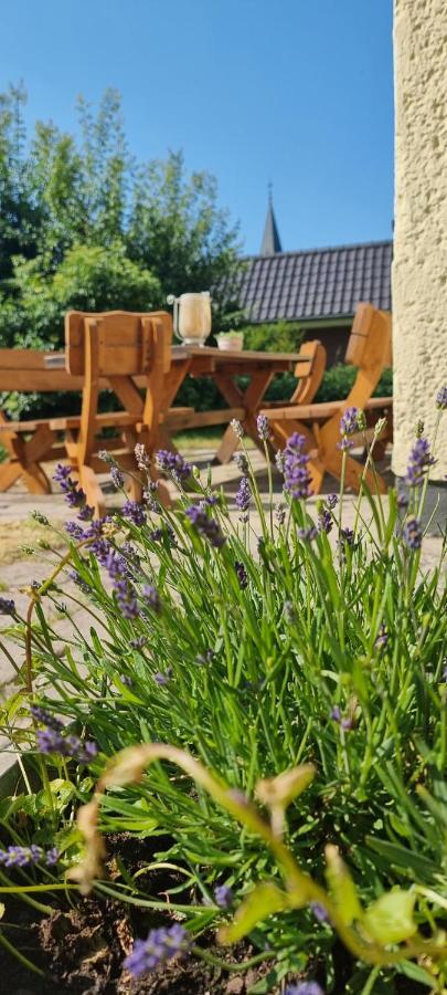 Ferienhaus Am Haff Hintersee المظهر الخارجي الصورة